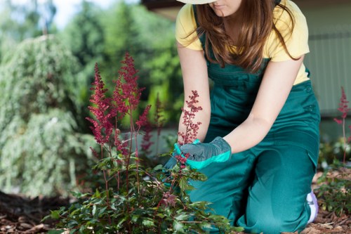 Operator trimming a residential hedge in Blackheath