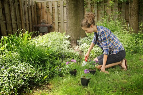Cleared garden showing separated green waste in Blackheath alley